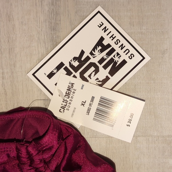 NWT Wine Colored Bathing Suit - Picture 4 of 4